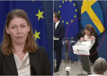 Watch: Sweden’s New Health Minister Collapses During Press Briefing: What happened?