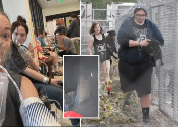 FBI Burns Meth Near Montana Animal Shelter, Staff and Animals Get ‘High,’ Hospitalized