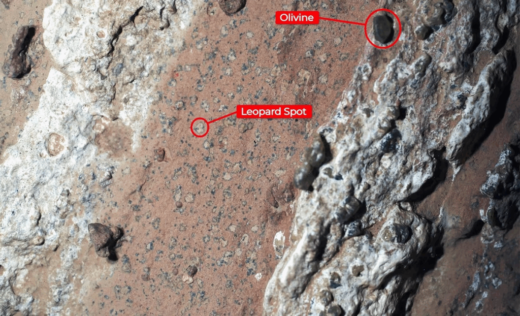 NASA Announces Discovery of Life on Mars With High Confidence