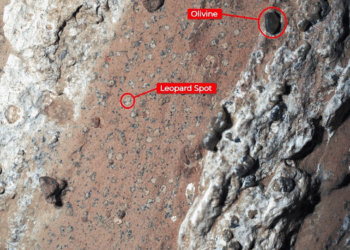 NASA Announces Discovery of Life on Mars With High Confidence