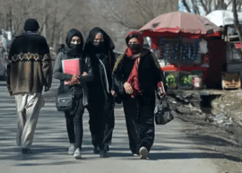Taliban Bans Women-Authored Books and University Courses in Sweeping Education Crackdown