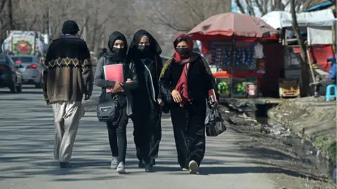 Taliban Bans Women-Authored Books and University Courses in Sweeping Education Crackdown
