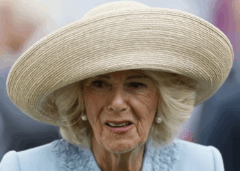 Queen Camilla Once Fought off Train Attacker With Her Shoe, Book Reveals