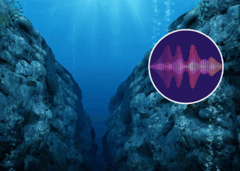 Mystery Solved: Strange Pacific Ocean Sounds Traced Back to 1979 Deep-Sea Mining Experiment