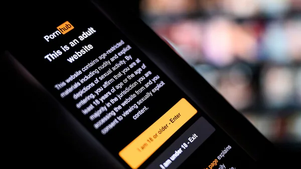 Porn Crackdown in US: Why Age Verification Laws Are Reshaping The Adult Entertainment Industry