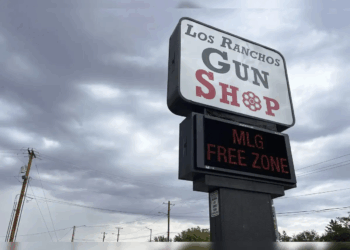 US Considering Transgender Gun Ban After Minneapolis Shooting: What It Means For Rights and Policy