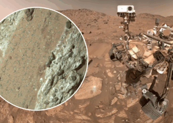 New Study Hints at Hidden Life Under Mars’ Frozen Terrain
