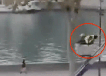 Watch: New Louvre Heist Video Shows Robbers Descending Via Ladder