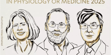 Nobel Prize in Medicine Honors Breakthroughs In Peripheral Immune Tolerance