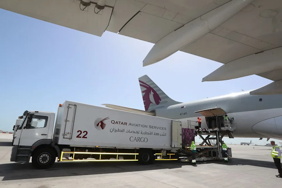 Qatar Airways sued after 85-year-old vegetarian chokes to death mid-flight