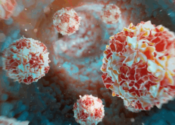 A New Polio Virus Detected in Germany: What We Know and Why It Matters