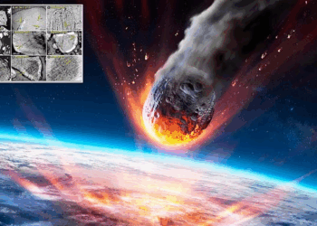 Mammoth Extinction Tied To Mysterious Cosmic Blast, Study Says