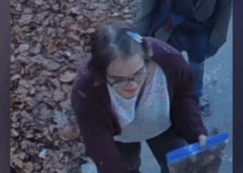 Who Is Morgan Geyser? Slender Man Convict With Psychosis Missing in Madison