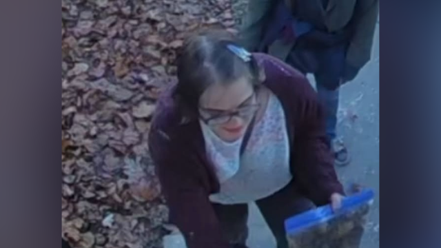 Who Is Morgan Geyser? Slender Man Convict With Psychosis Missing in Madison