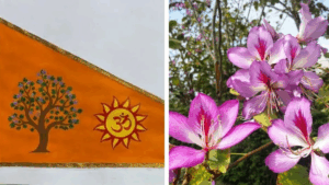 Why Ayodhya’s Dharma Dhwaja Features the Sacred Kovidara Tree