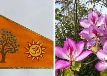 Why Ayodhya’s Dharma Dhwaja Features the Sacred Kovidara Tree