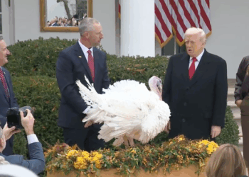 Why Gobble and Waddle Became The Stars Of President Trump’s Thanksgiving Turkey Pardon