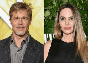 Brad Pitt Seeks $35 Million in Damages From Angelina Jolie Over Chateau Miraval Sale