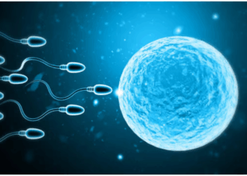 Alarming Probe Finds Sperm Donor With Cancer-Causing Gene Fathered 197 Children In Europe