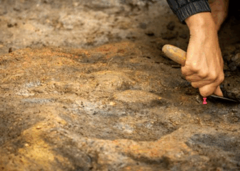 Oldest Known, 400,000-Year-Old Evidence Of Deliberate Fire Use Found in England