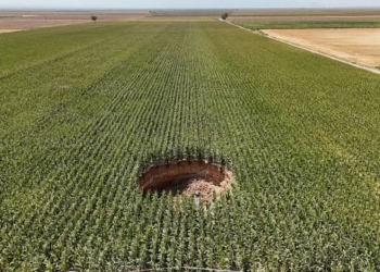 100-Foot Sinkholes Are Swallowing Crops in Turkey, And Nearly 700 Have Already Formed