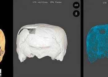 Cube-Shaped Skull Discovery in Mexico Stumps Scientists: Why Is There Only One?