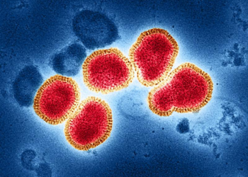 What Is the K Subclade Flu Variant? Why a Mutated H3N2 Strain Is Driving a Severe US Flu Season