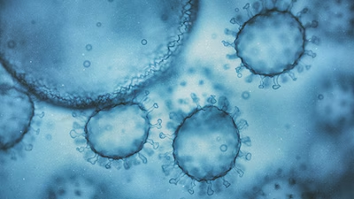 Norovirus Cases Are Rising Rapidly in the US: What To Know About The “Winter Vomiting Disease”