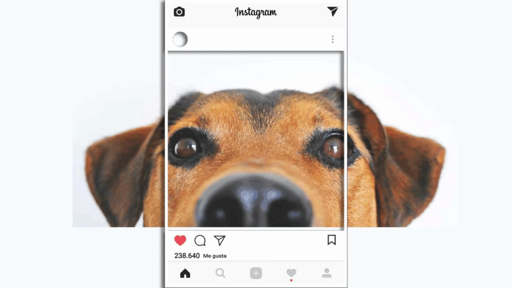Aussie Teens Are Outsmarting the Under-16 Social Media Ban By Using Dog Pictures