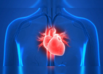 99% of Heart Attacks Linked to Just 4 Risk Factors, Massive Study Finds