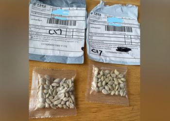 A Plan to Poison American Crops? Why Chinese Seed Packets Are Showing Up at US Homes