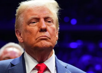 Donald Trump Pardons Businesswoman Adriana Camberos Convicted Twice of Federal Fraud