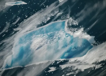 NASA Images Show the World’s Largest Iceberg Is Finally Fading After a 40-Year Journey