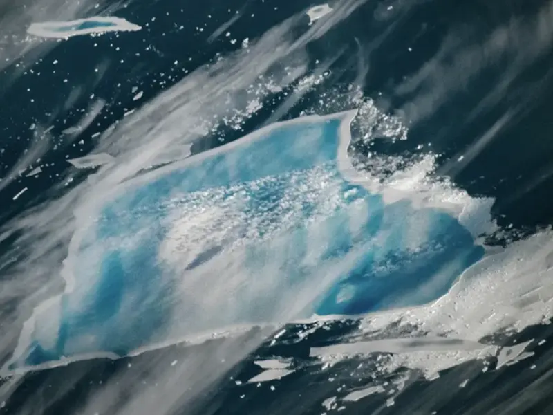 Iceberg