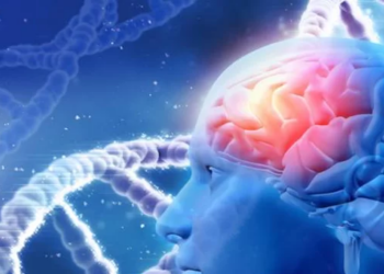 Chinese Study Links Brain Glucose Levels to Alzheimer’s Progression
