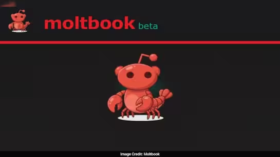 What Is Moltbook? The AI-Only Social Platform Run Entirely by Bots