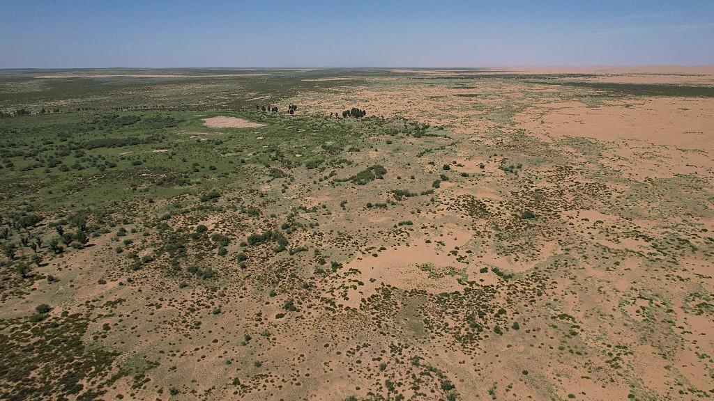 Taklamakan Desert: China Plants 66 Billion Trees, Turns Desert Into Carbon Sink