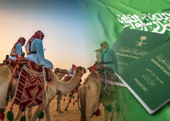 Why Saudi Arabian Camels Now Have Passports: Inside the Kingdom’s Animal Identification Drive