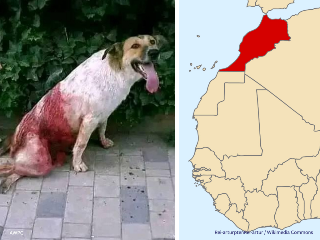 Morocco