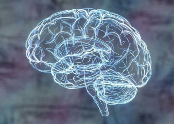 Rethinking Depression: How Brain “Insulation” Cells Could Reshape Mental Health Treatment