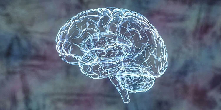 Rethinking Depression: How Brain “Insulation” Cells Could Reshape Mental Health Treatment