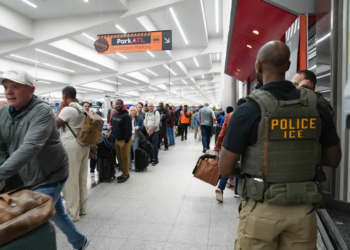 Why Has Trump Deployed ICE Agents to U.S. Airports?