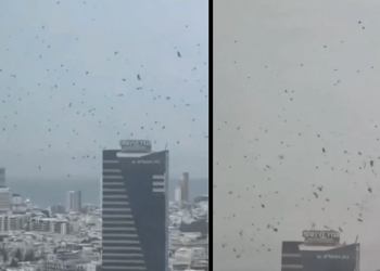 Tel Aviv