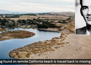 Severed Leg Found on A California Beach Traced Back to Banker Missing Since 1999