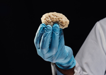 Sci-Fi Turns Real: Scientists Revive Frozen Brain With Active Neurons