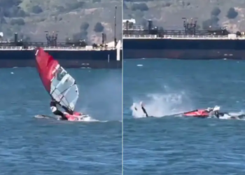 Windsurfer Collides With Whale: Viral Video Shows Rare Ocean Encounter In San Francisco