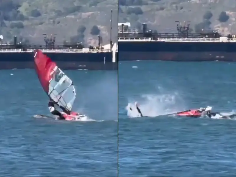Windsurfer Collides With Whale: Viral Video Shows Rare Ocean Encounter In San Francisco