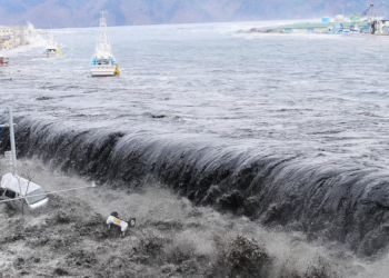 7.4 Quake Jolts Japan; Tsunami Waves Reach 80cm