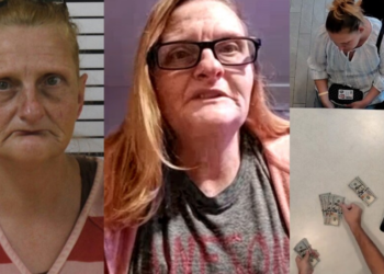 Tennessee Grandma Jailed for 5 Months after AI Facial Recognition Error Flagged Her for Bank Fraud