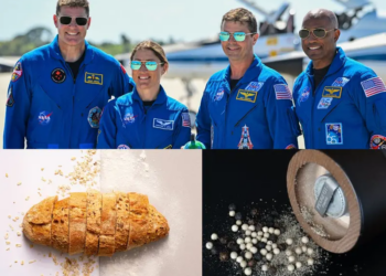 Artemis II Mission: Why NASA’s 189-Item Menu Skips Bread, Salt and Pepper